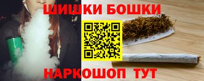 гашик Тулун