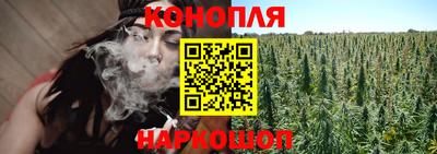 гашик Тулун