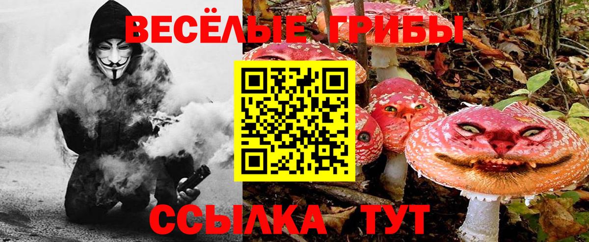 Галлюциногенные грибы GOLDEN TEACHER  Псилоцибиновые грибы мицелий  Вход с VPN  Шатура 